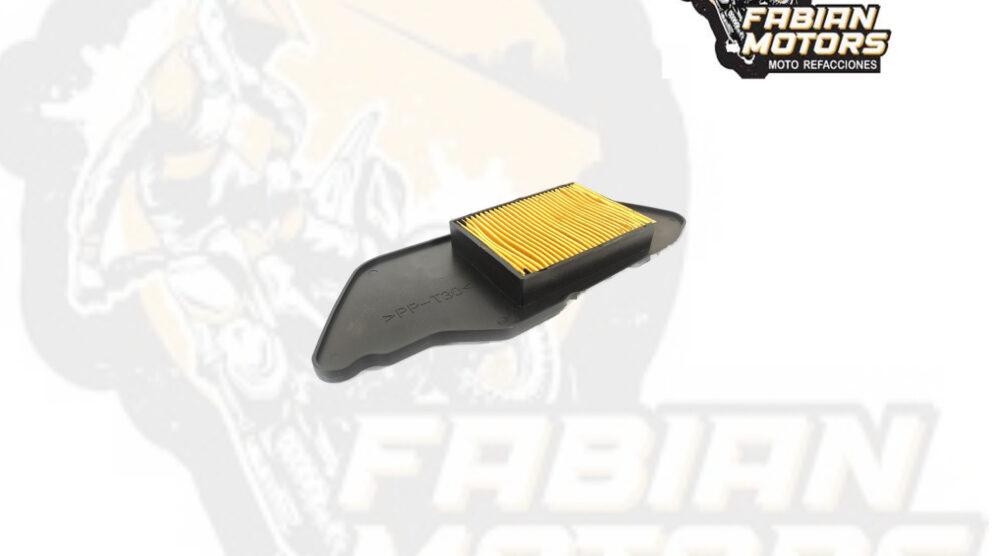 132-131003 ELEMENTO FILTRO AIRE TECHX2 P/ BWS-125