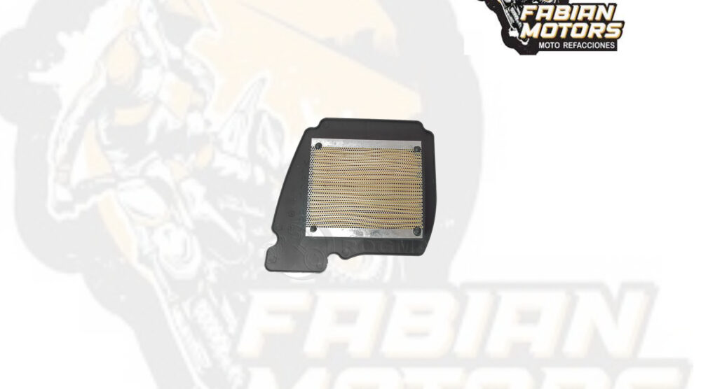 132-132000 ELEMENTO FILTRO AIRE P/ FZ-16