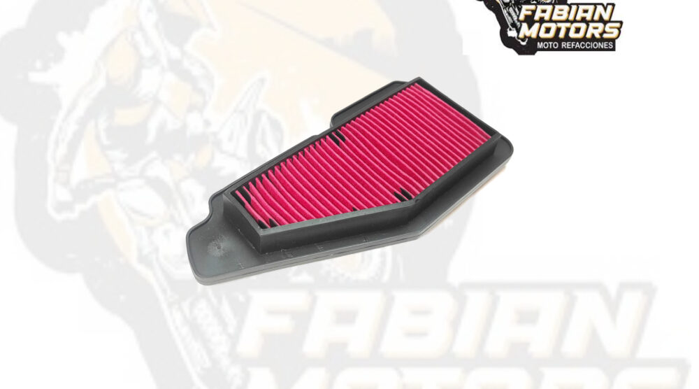 132-136001 ELEMENTO FILTRO AIRE P/ RAYZ-115 (113cc)