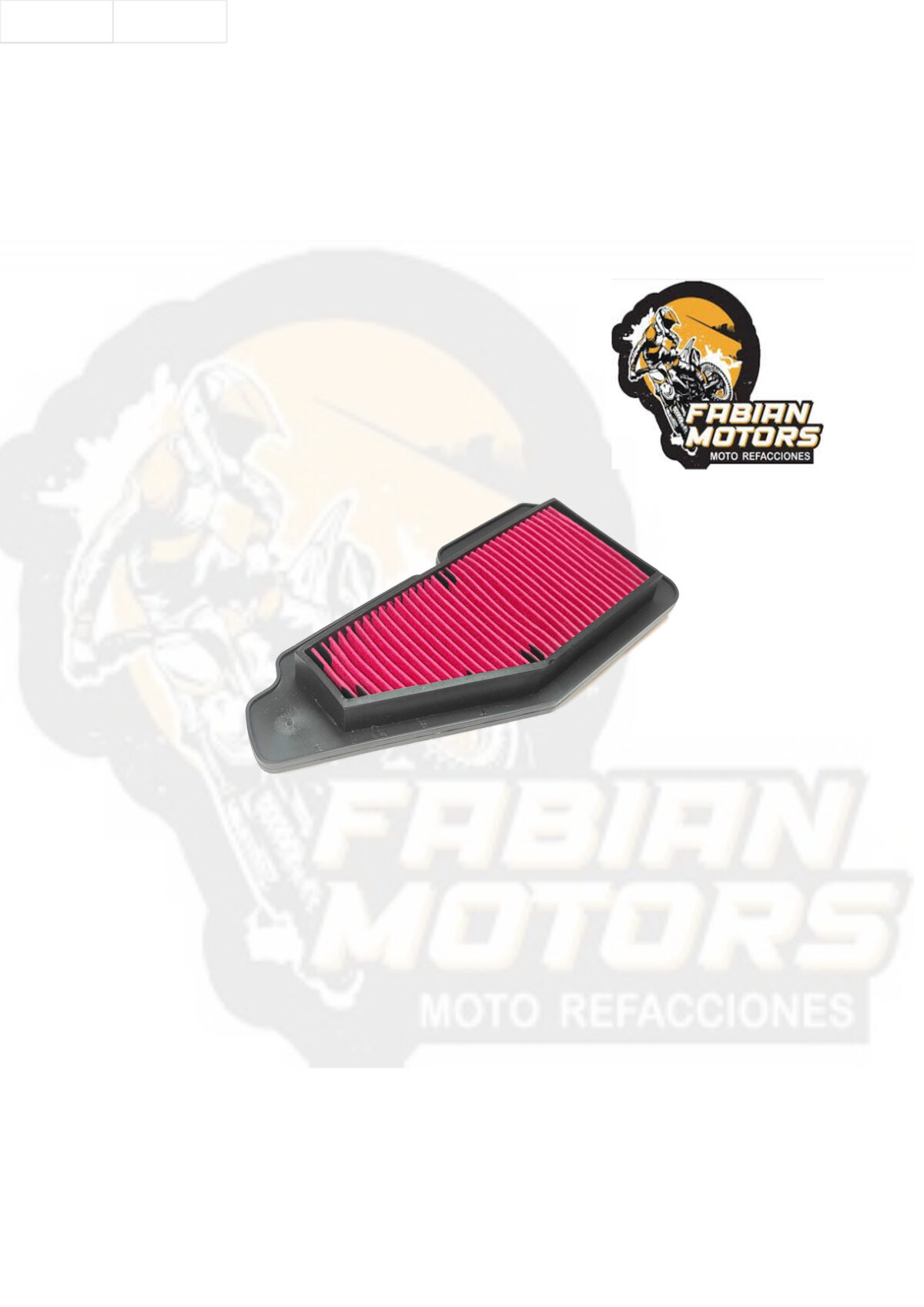 ELEMENTO FILTRO AIRE P/ RAYZ-115 (113cc)