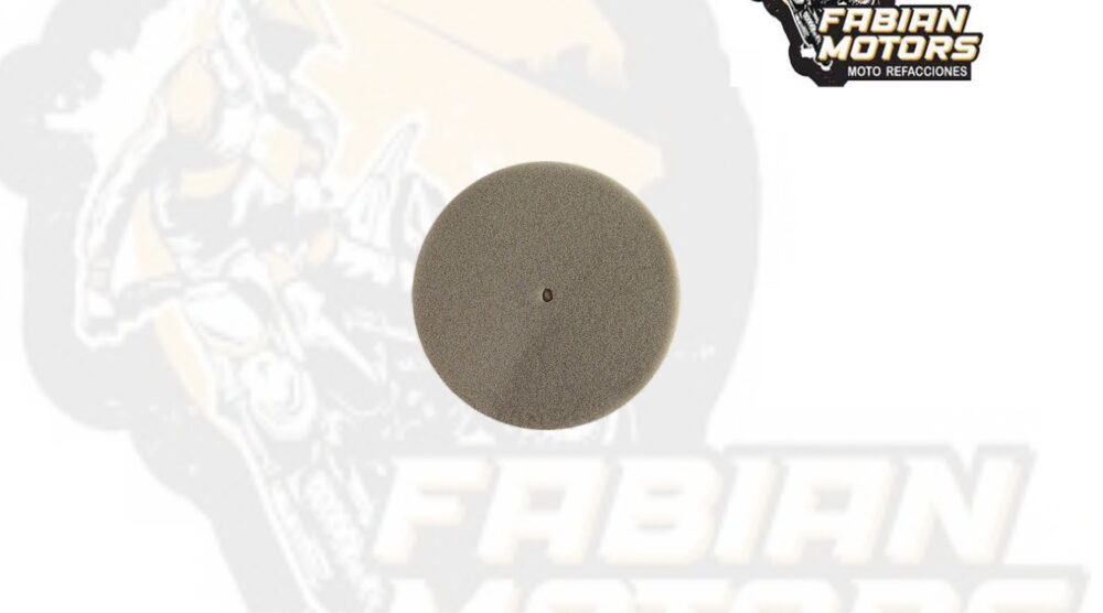 132-145000 ELEMENTO FILTRO AIRE P/ FT-110