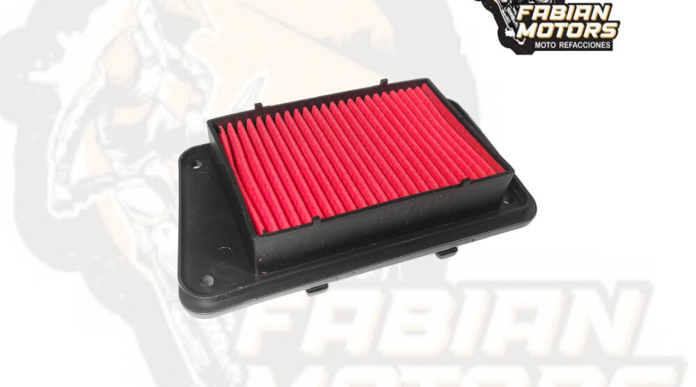 132-147001 ELEMENTO FILTRO AIRE P/ GTS-175