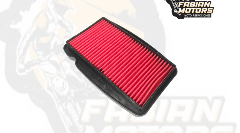 ELEMENTO FILTRO AIRE P/ 250Z