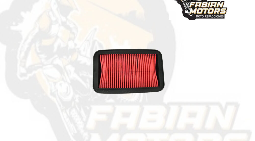 132-165000 ELEMENTO FILTRO AIRE P/ GL-150 CARGO