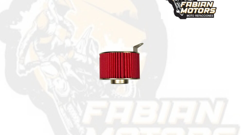 ELEMENTO FILTRO AIRE P/ CRUISING-125