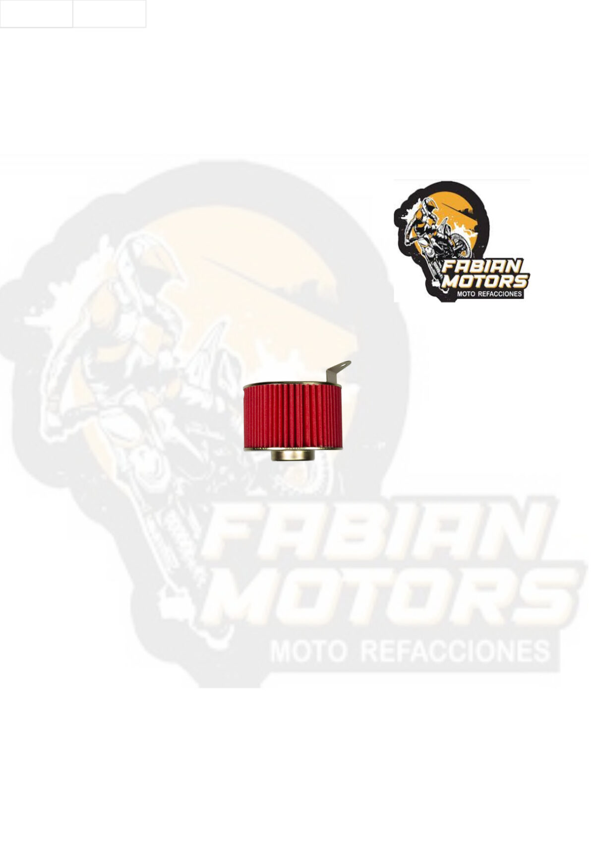 ELEMENTO FILTRO AIRE P/ CRUISING-125