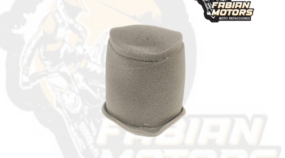 132-242001 ELEMENTO FILTRO AIRE P/ DT-125