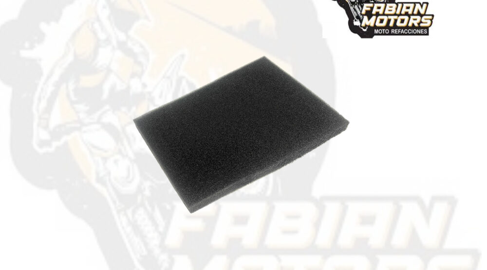 132-249003 ELEMENTO FILTRO AIRE P/ VORT-X 300