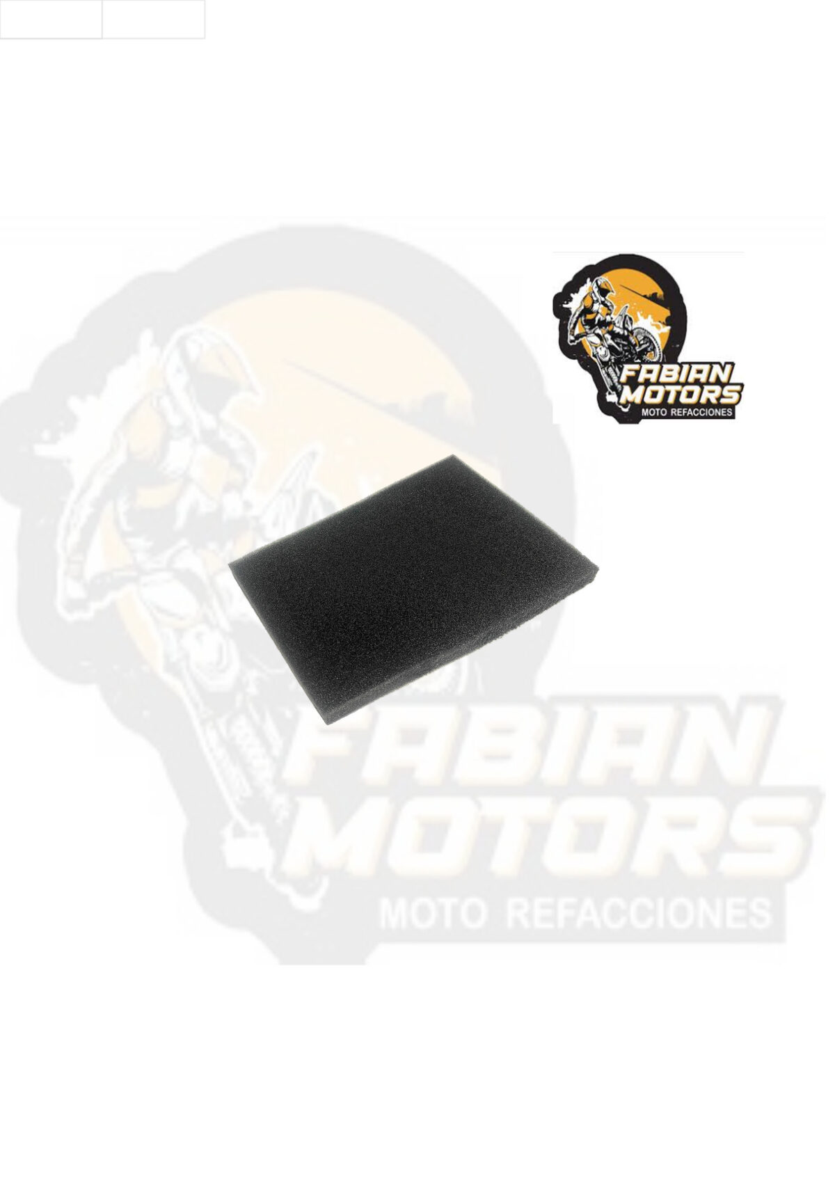 ELEMENTO FILTRO AIRE P/ VORT-X 300