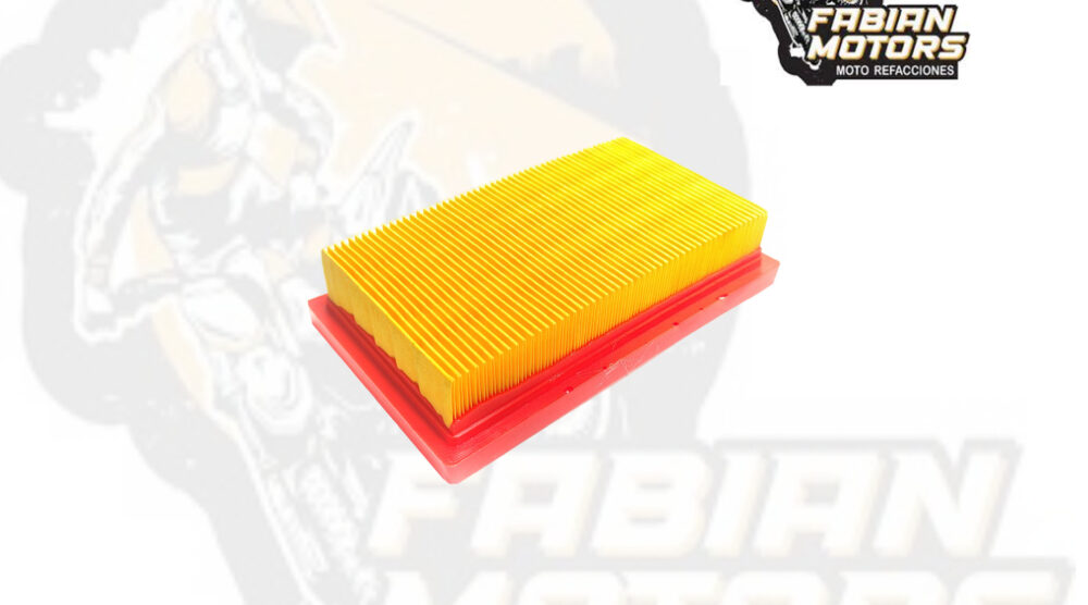 132-249004 ELEMENTO FILTRO AIRE P/ VORT-X 200