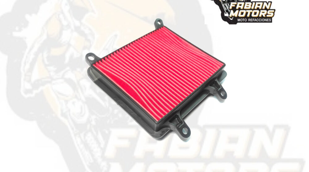 132-262000 ELEMENTO FILTRO AIRE P/ XR-190L