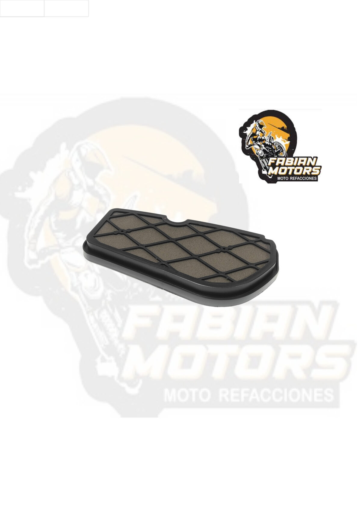 ELEMENTO FILTRO AIRE P/ D125LT