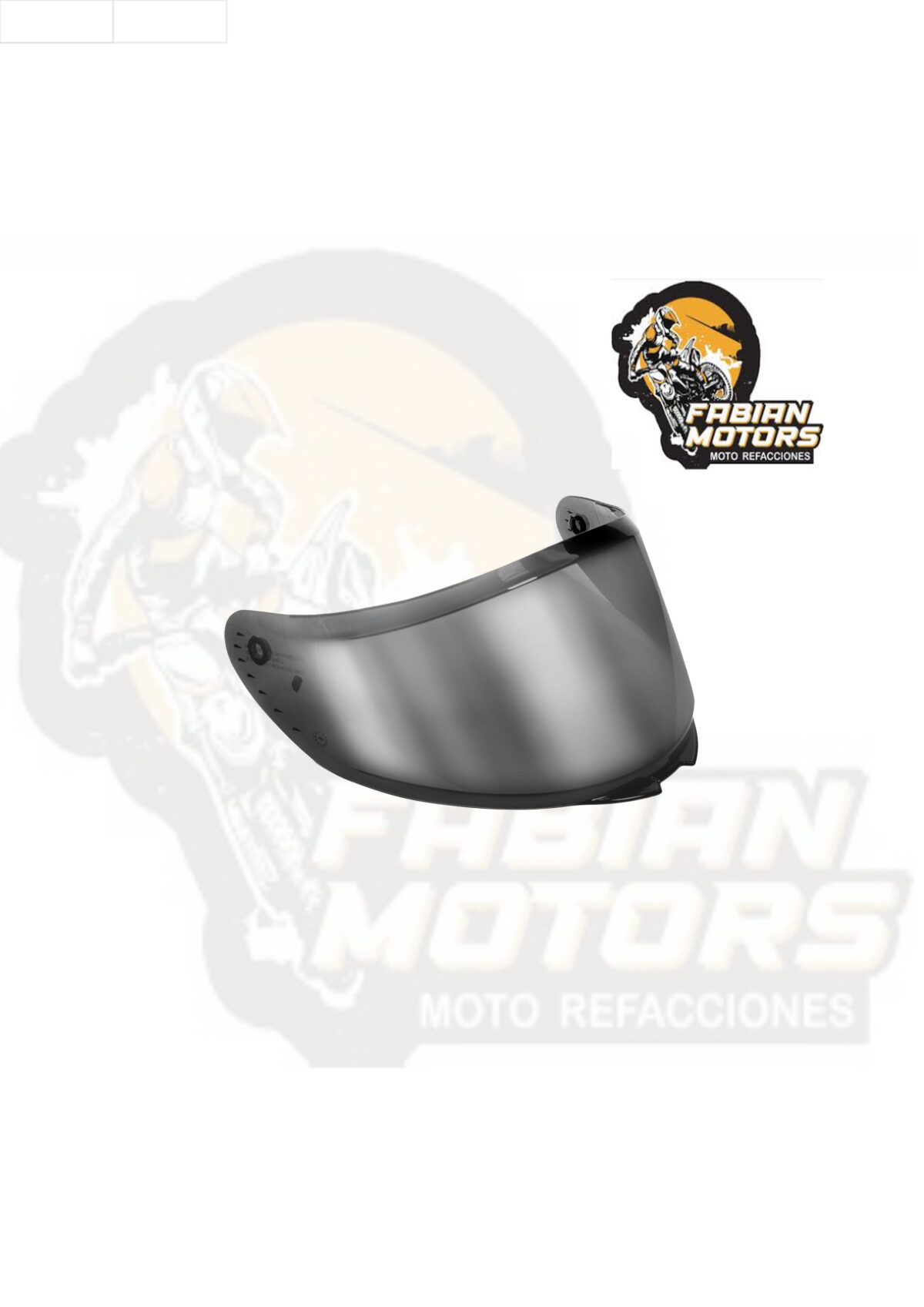 MICA CASCO Z501 POLARIZADA