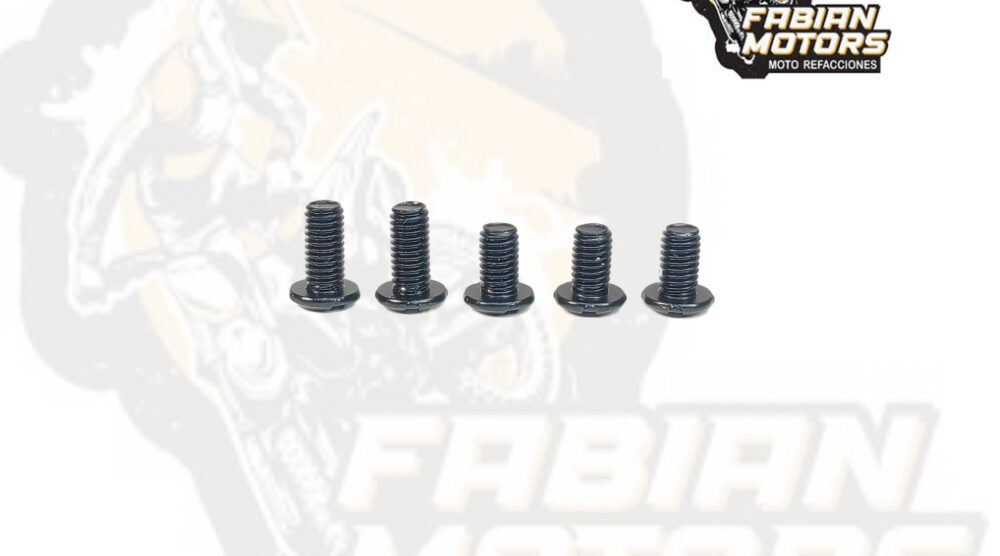 TORNILLOS CASCOS RMM 129 (JUEGO)