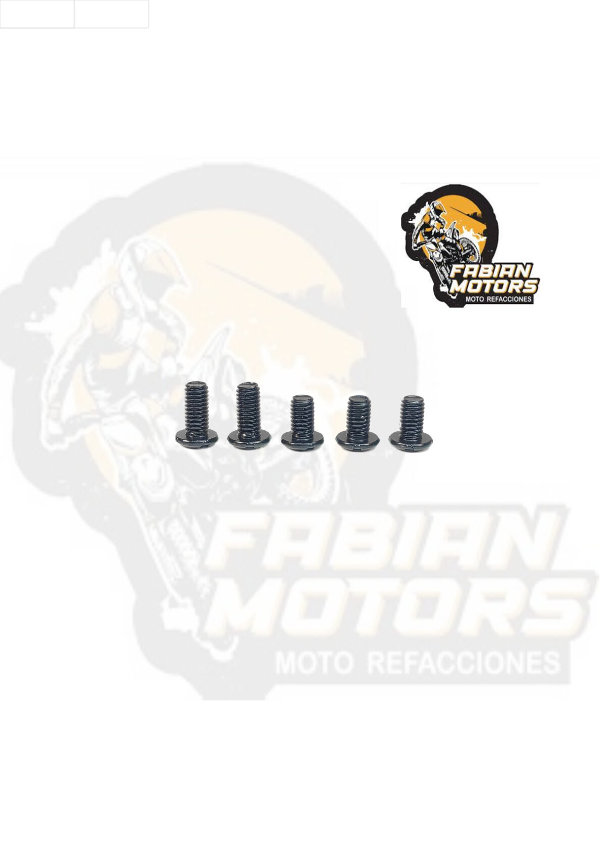TORNILLOS CASCOS RMM 129 (JUEGO)