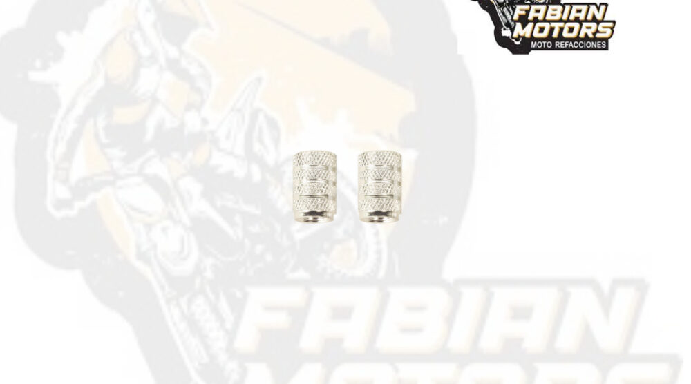 TAPON VALVULA PLATA SG19 (PAR)