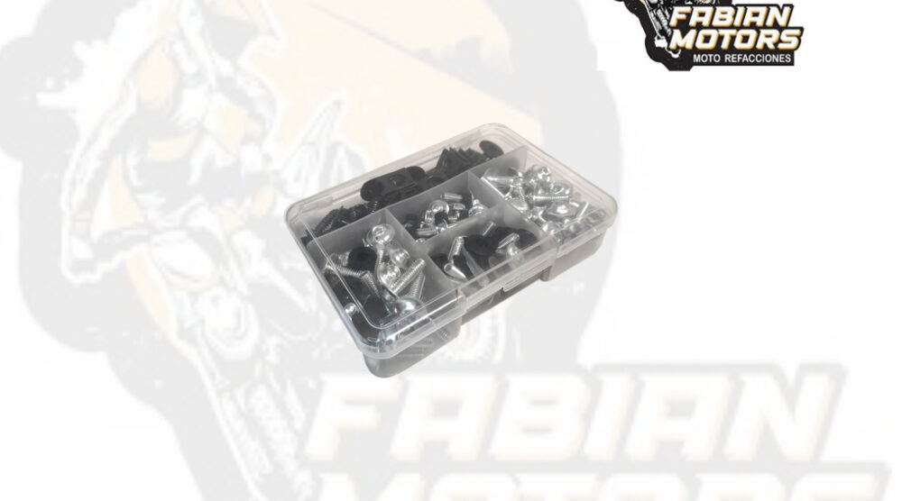TORNILLOS UNIVERSALES PLATA (JUEGO)