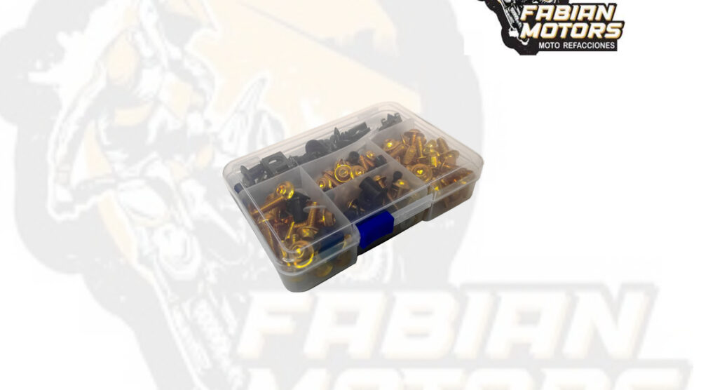 TORNILLOS UNIVERSALES DORADO (JUEGO)