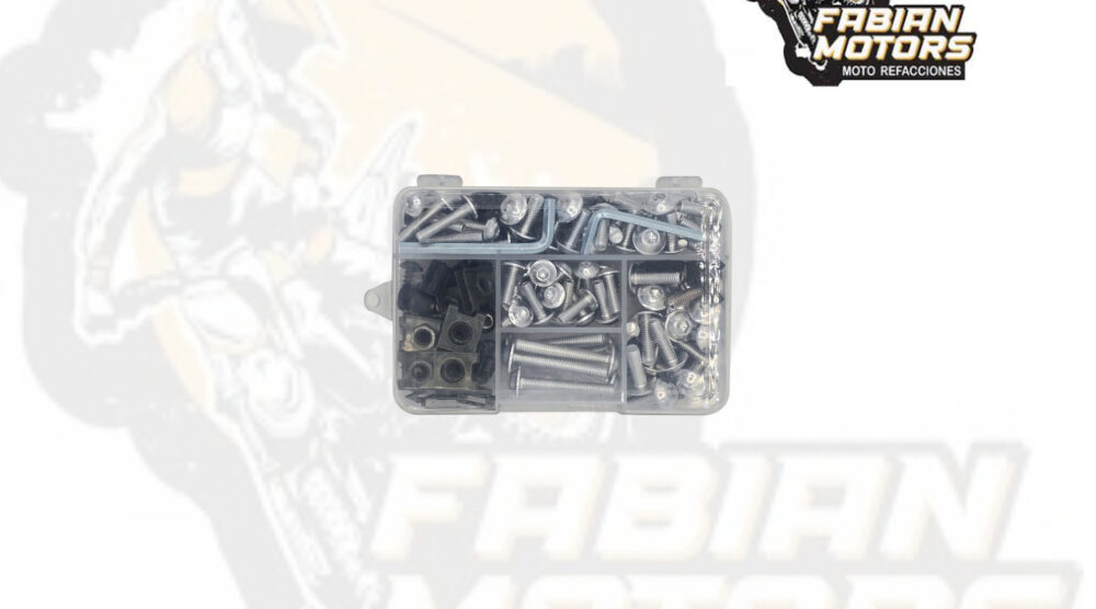 TORNILLOS UNIVERSALES PLATA (JUEGO) (196 PIEZAS)