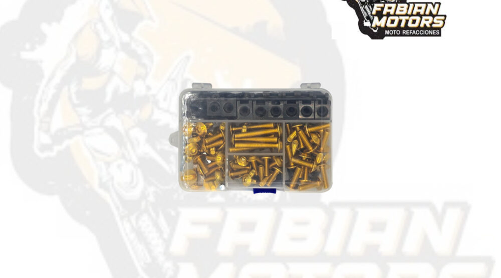 TORNILLOS UNIVERSALES DORADO (JUEGO) (196 PIEZAS)