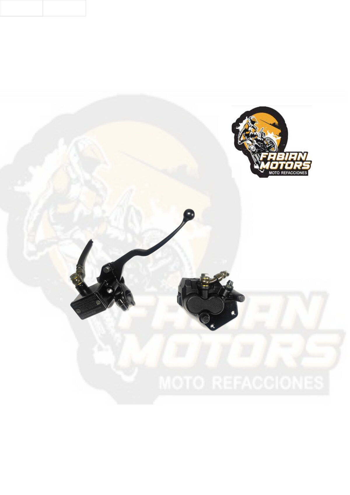 CALIPER C/ BALATAS, MANGUERA Y BOMBA DE FRENO P/ FT-150 (MOD. ´09-´11)