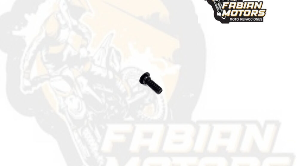 TORNILLO DISCO FRENO P/ 250Z M8 X 25
 (JUEGO 5 PIEZAS)