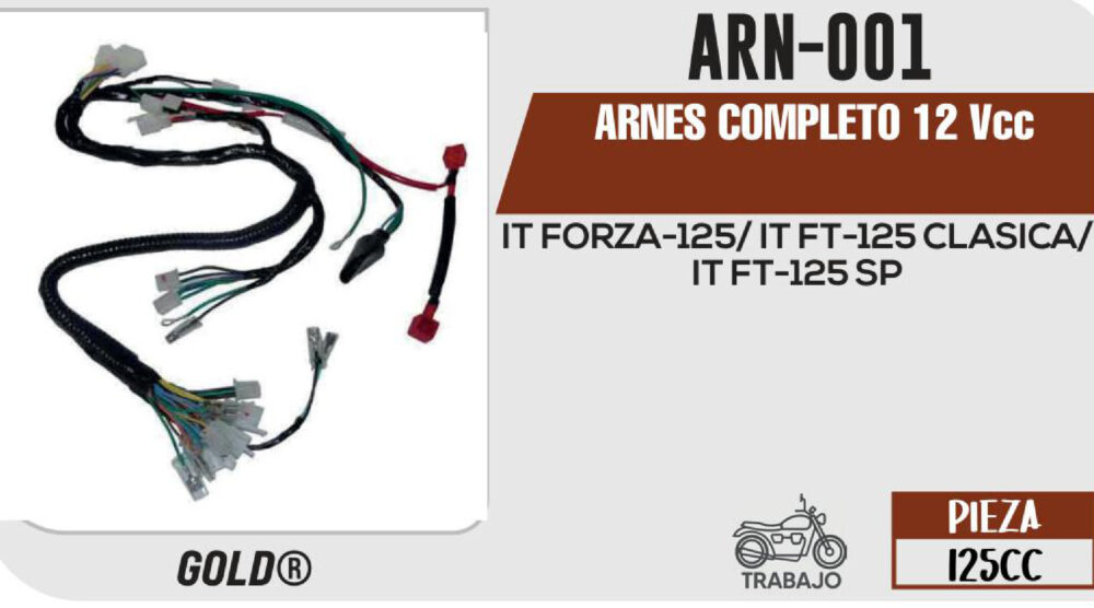 ARNES COMPLETO 12Vcc