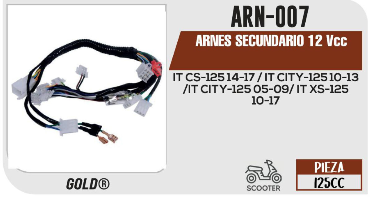 ARNES SECUNDARIO 12Vcc