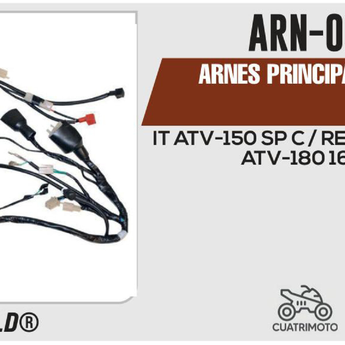 ARNES PRINCIPAL 12Vcc