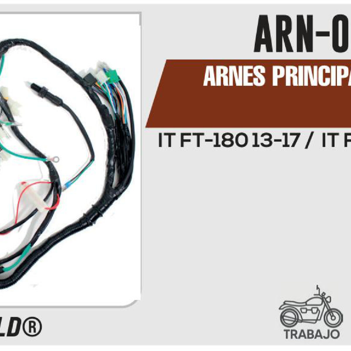 ARNES PRINCIPAL 12Vcc