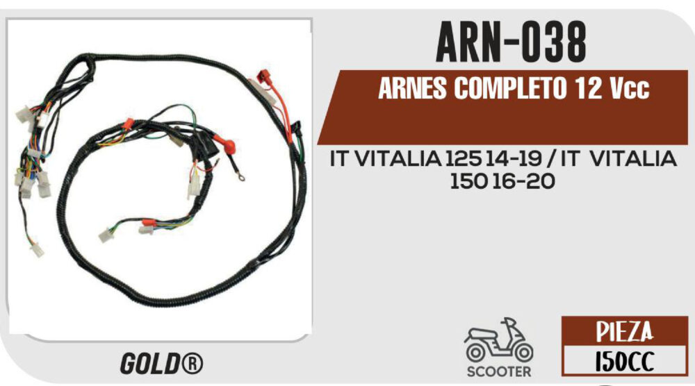 ARNES COMPLETO 12Vcc / 20 A
