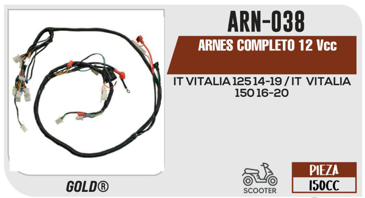 ARNES COMPLETO 12Vcc / 20 A