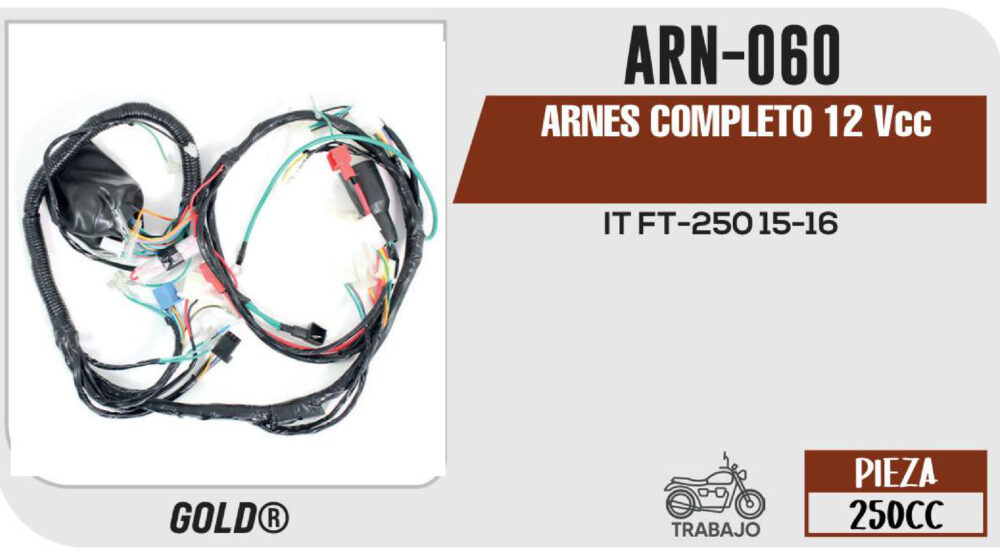 ARNES COMPLETO 12Vcc / 20 A