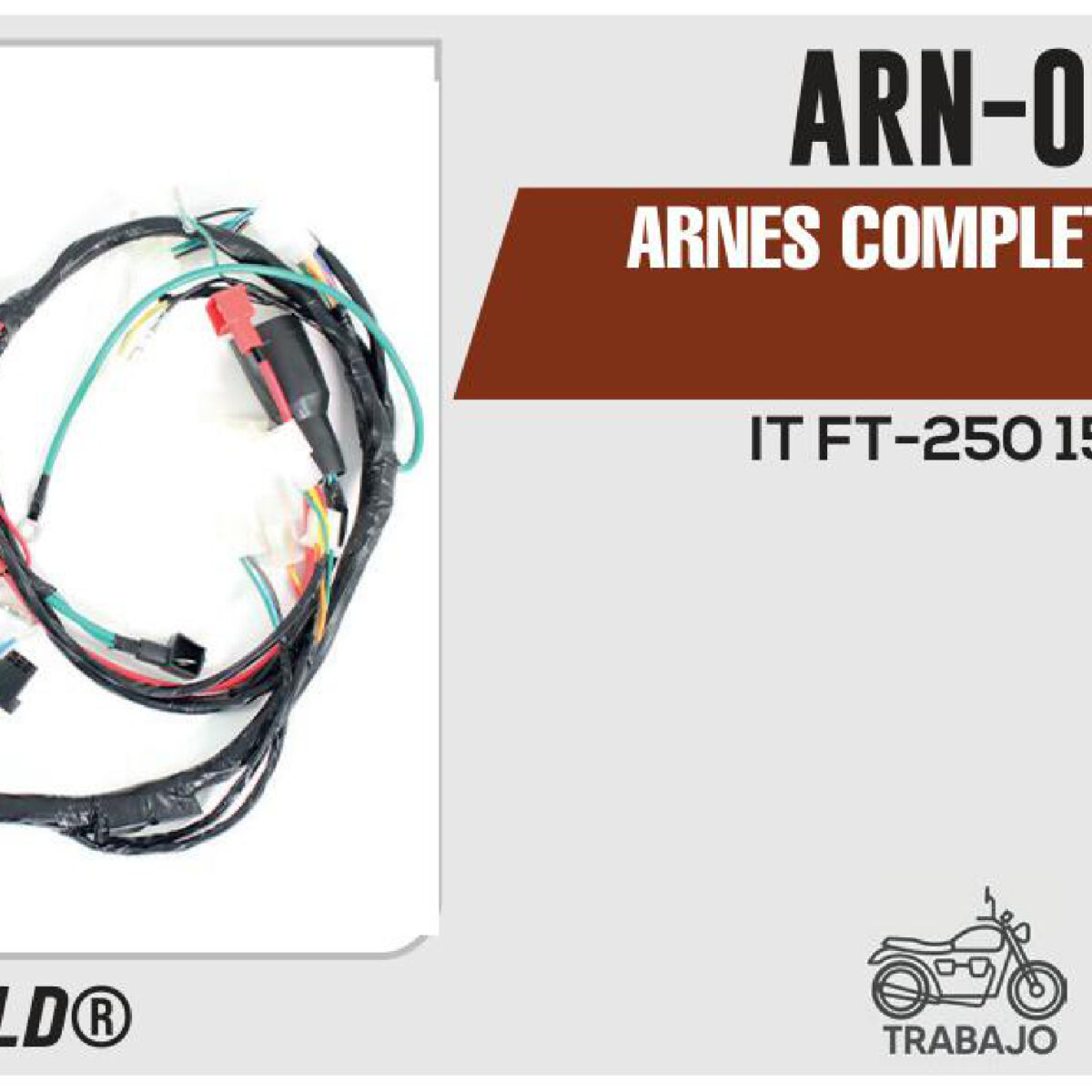 ARNES COMPLETO 12Vcc / 20 A