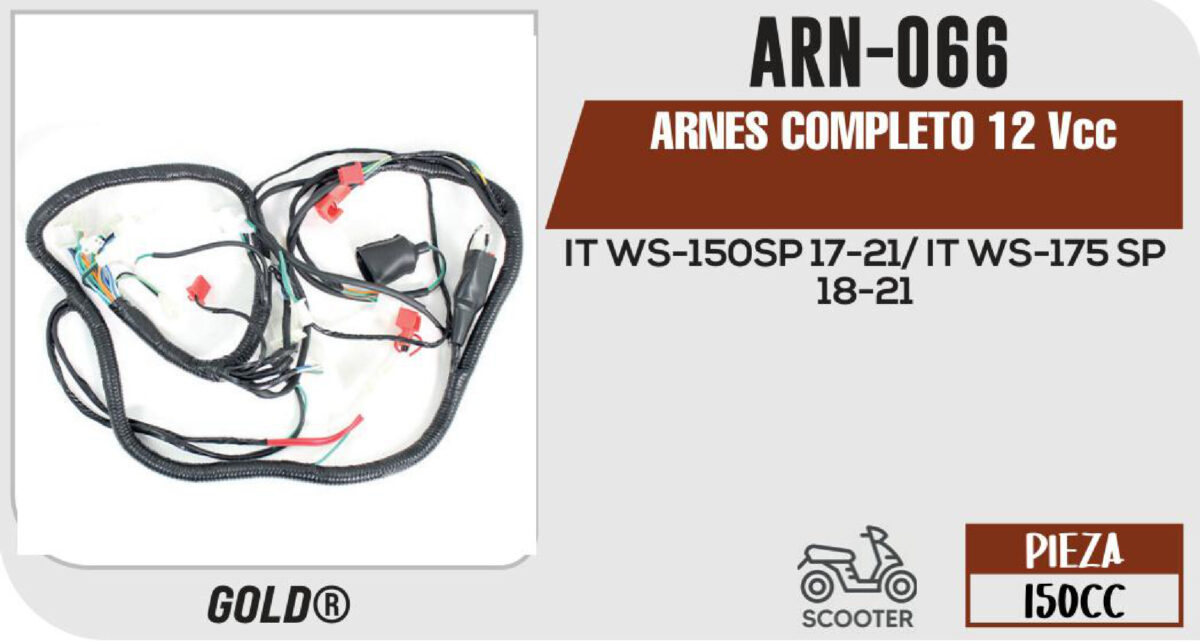 ARNES COMPLETO 12Vcc / 20 A