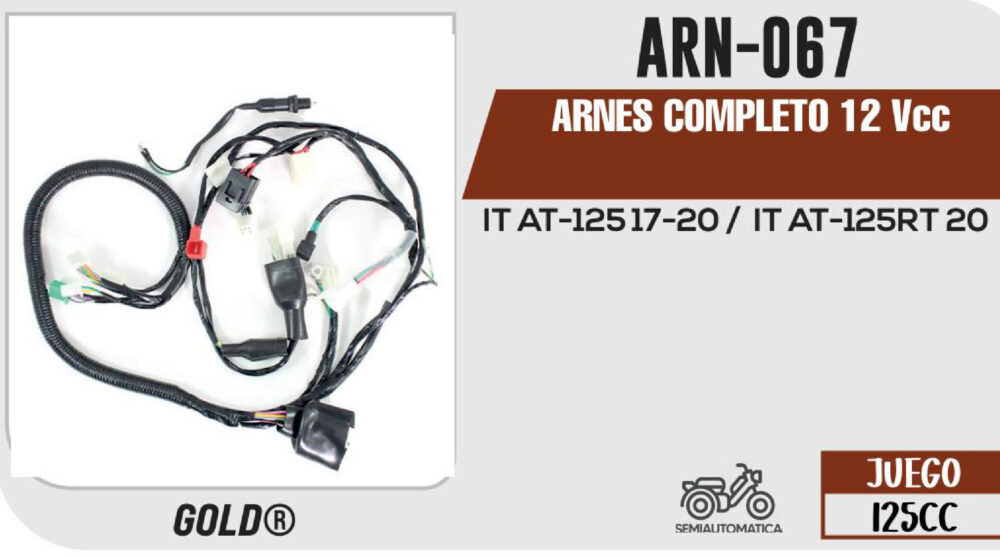 ARNES COMPLETO 12Vcc / 20 A