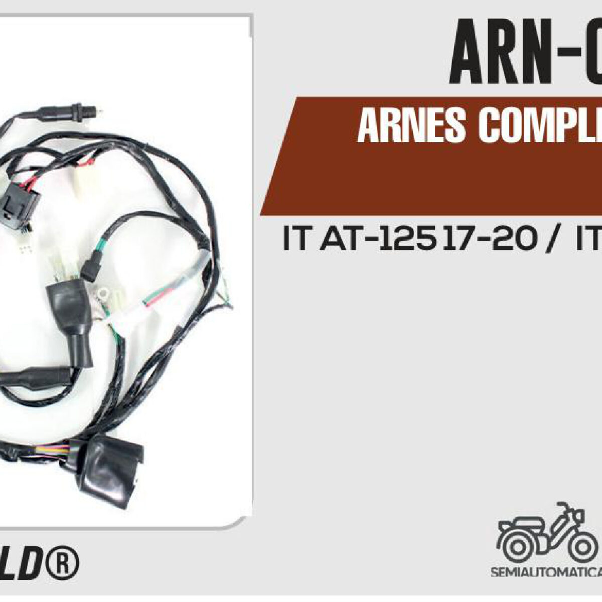 ARNES COMPLETO 12Vcc / 20 A