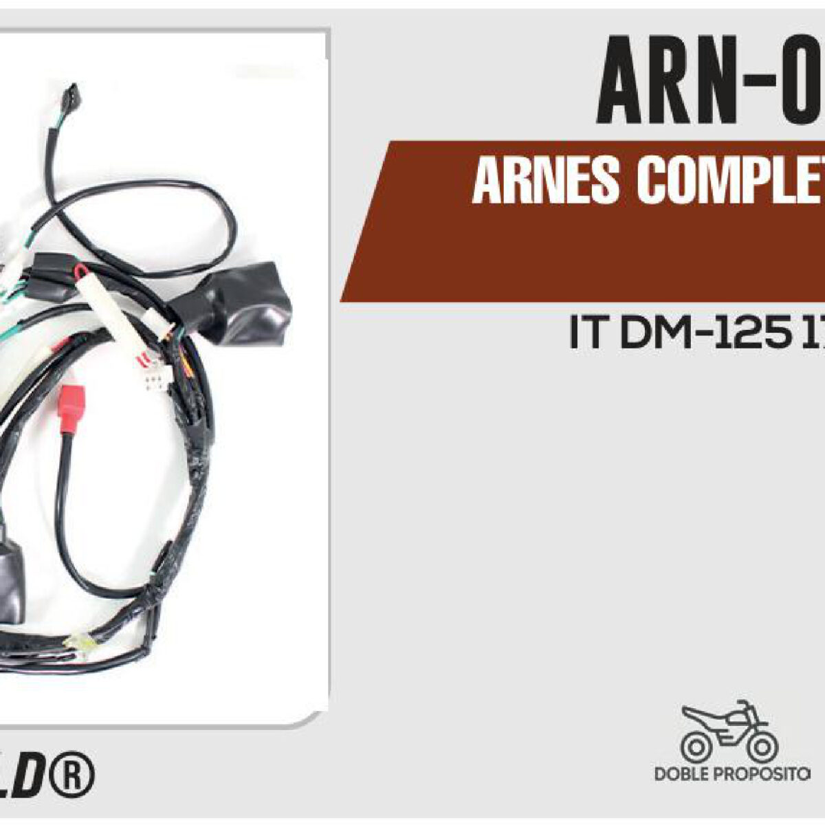 ARNES COMPLETO 12Vcc / 20 A