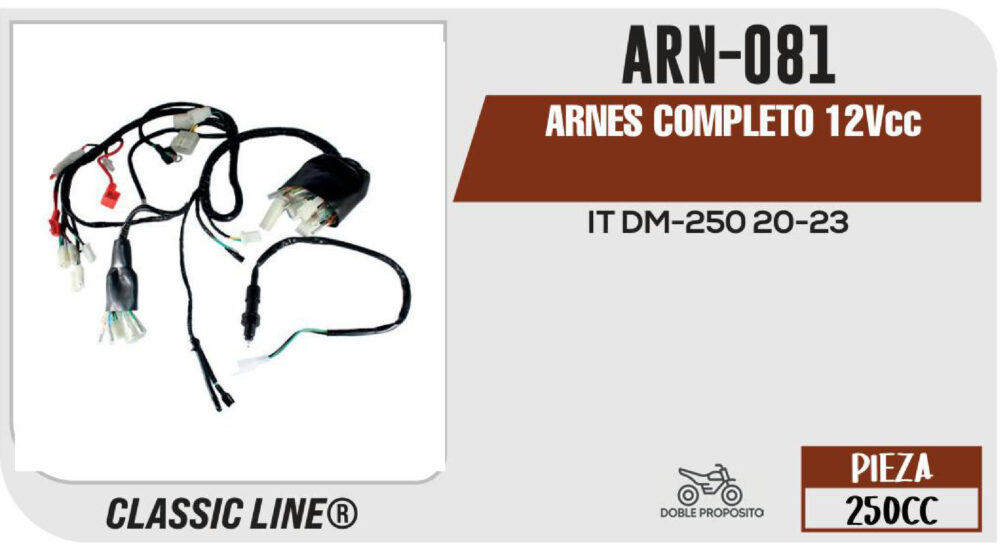 ARNES COMPLETO 12Vcc