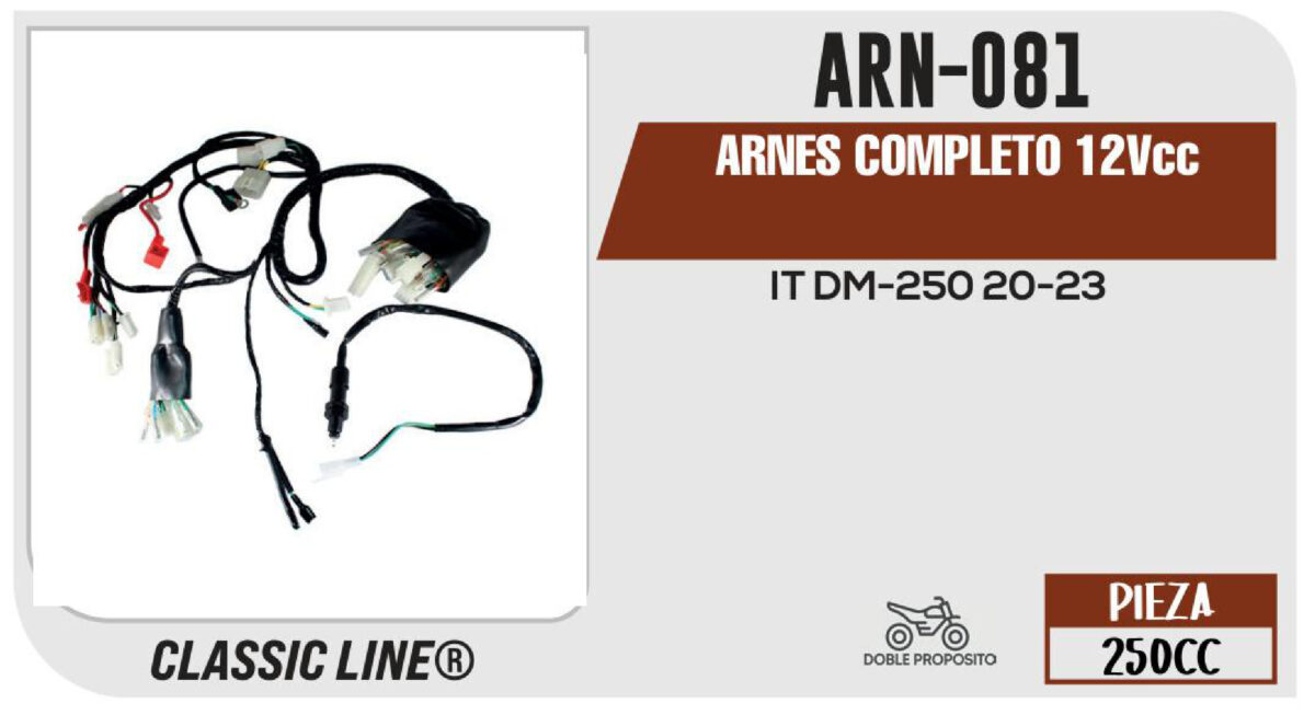 ARNES COMPLETO 12Vcc