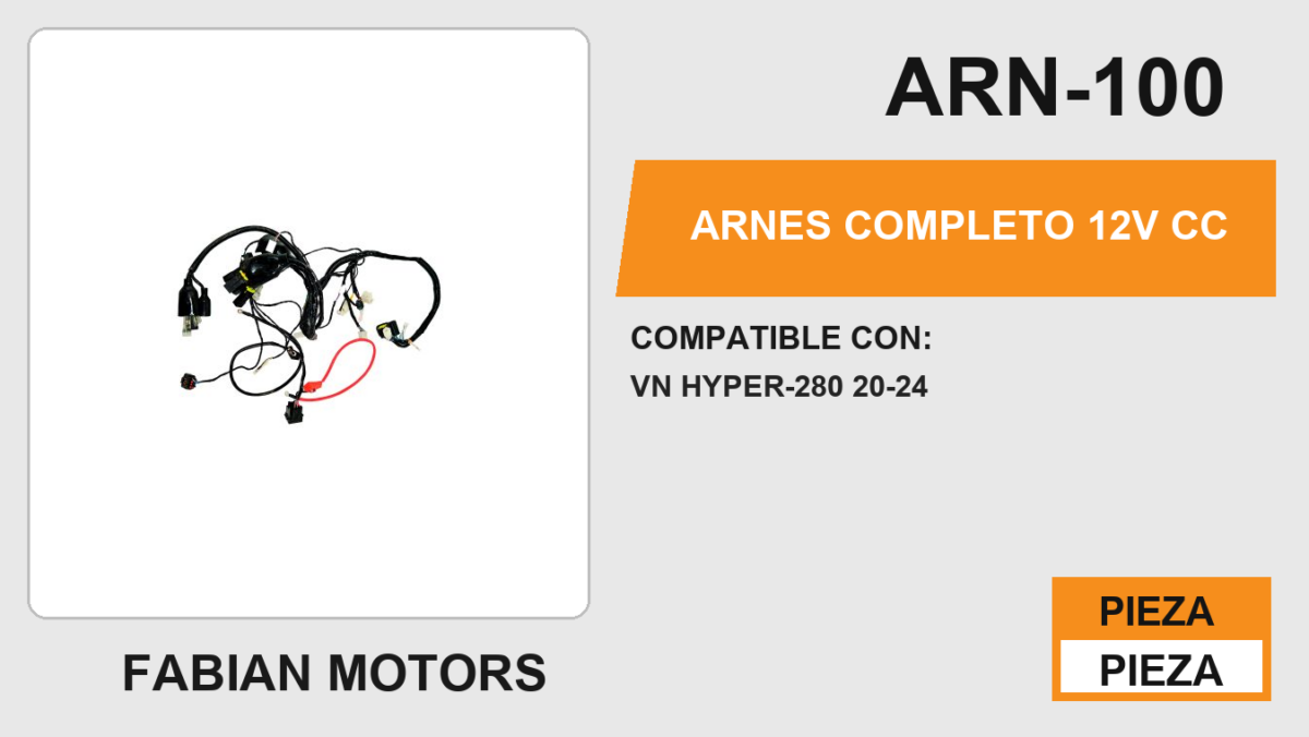 ARNES COMPLETO 12Vcc