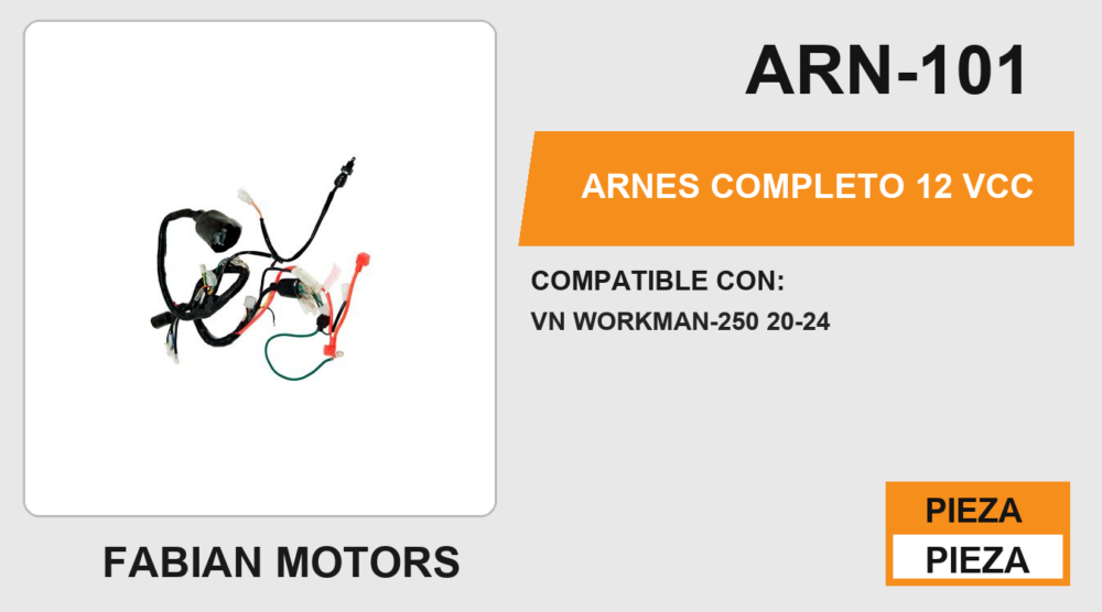 ARNES COMPLETO 12Vcc