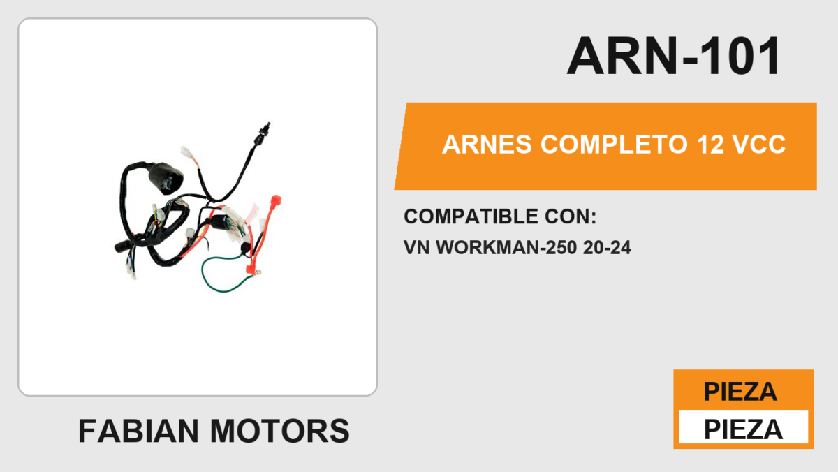 ARNES COMPLETO 12Vcc