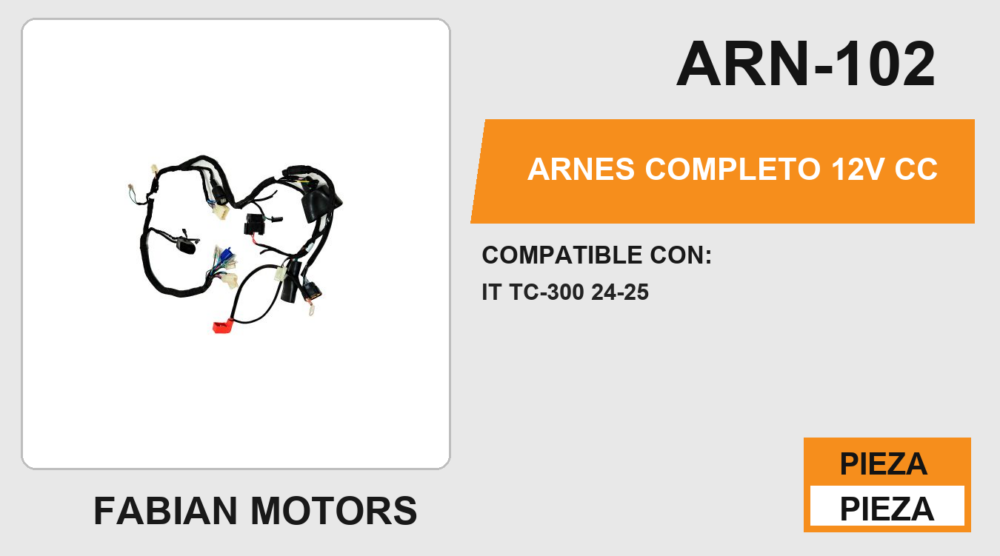 ARNES COMPLETO 12Vcc