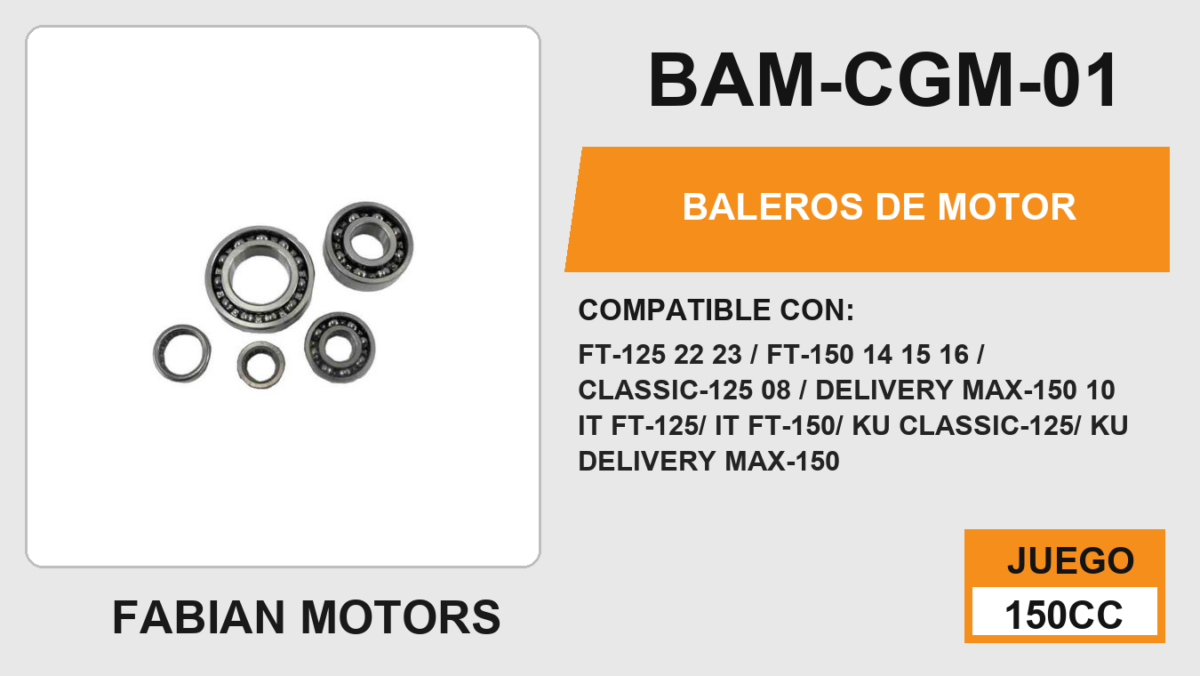 BALEROS DE MOTOR