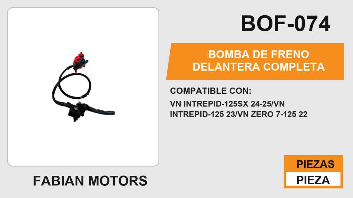 BOMBA DE FRENO DELANTERA COMPLETA