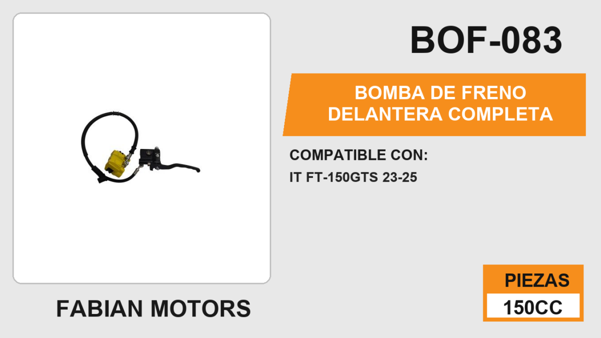 BOMBA DE FRENO DELANTERA COMPLETA