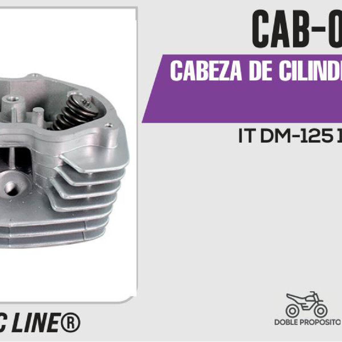 CABEZA DE CILINDRO COMPLETA