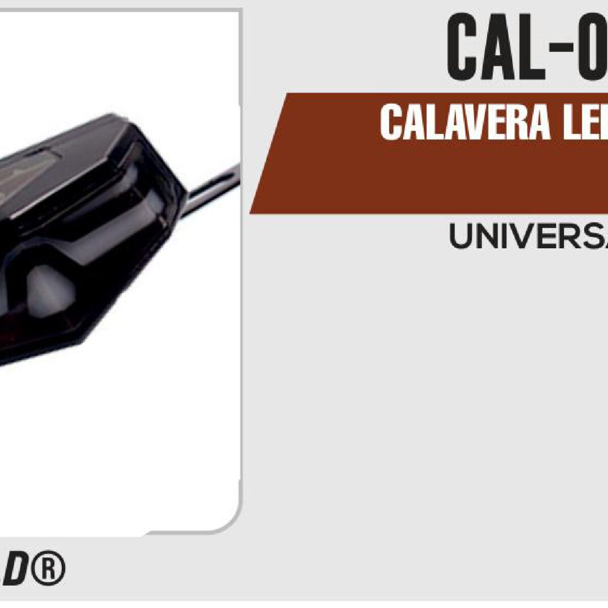 CALAVERA LED 12Vcc