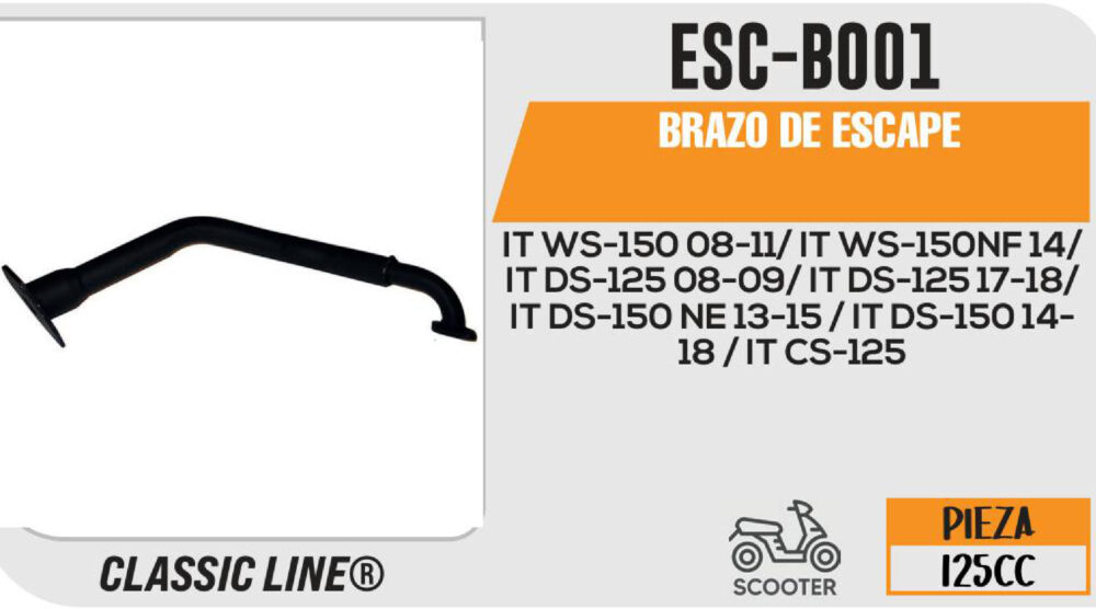 BRAZO DE ESCAPE